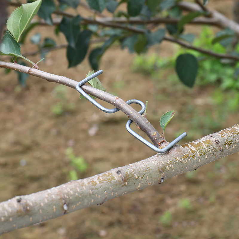 Root Watering Spike - 30pcs/set Fruit Tree Branch Puller Hook