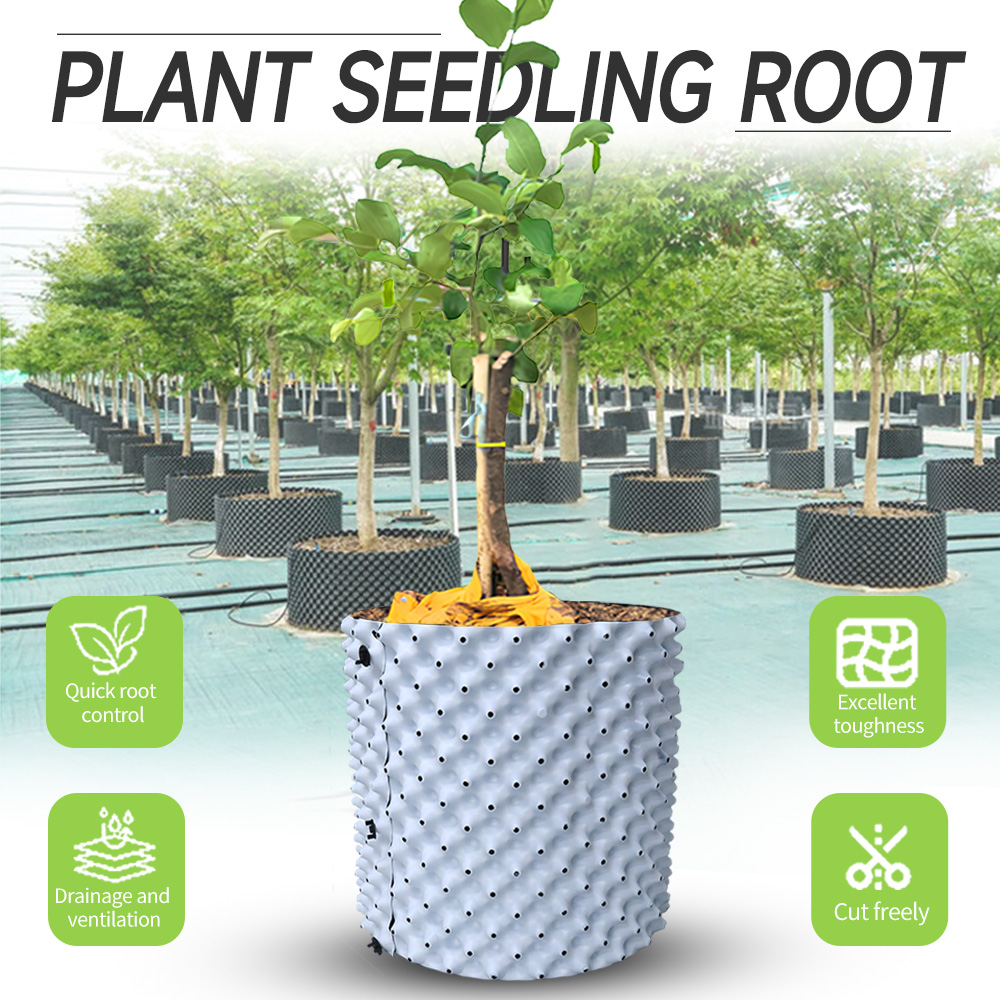 Root Watering Spike - Thickened Enlarged Dual Color Root Control