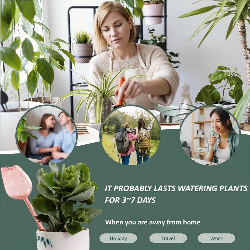 Pink Tulip Plant Watering Ball - Gardening Tools Pink 评论和价格