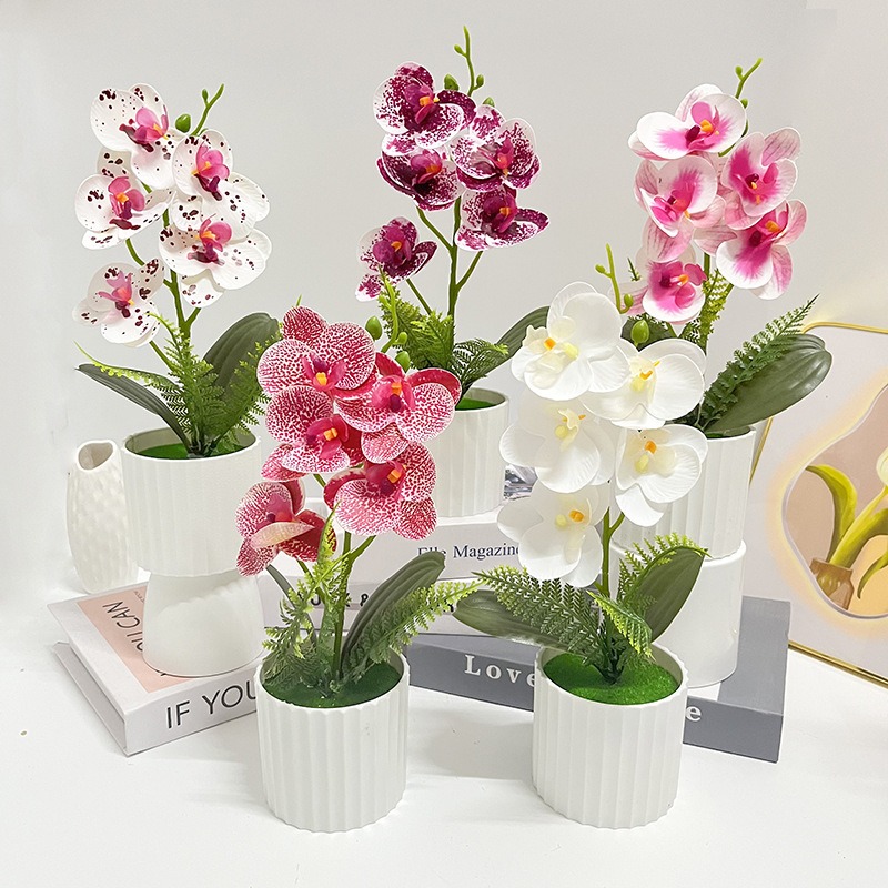 Vertical bar pot with 5 butter - Orchid Potting Mix 评论和价格