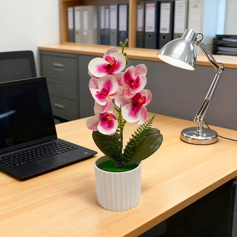 Vertical bar pot with 5 butter - Orchid Potting Mix 评论和价格