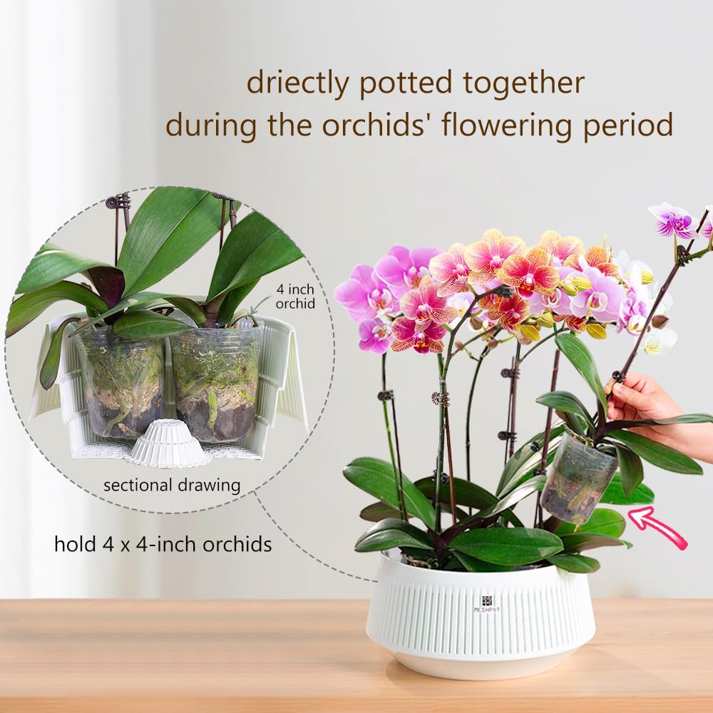 Orchid Pot with Holes & Saucer - Orchid Potting Mix 评论和价格