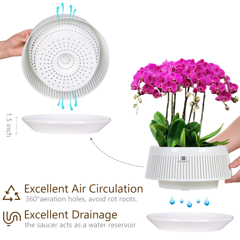 Orchid Pot with Holes & Saucer - Orchid Potting Mix 评论和价格