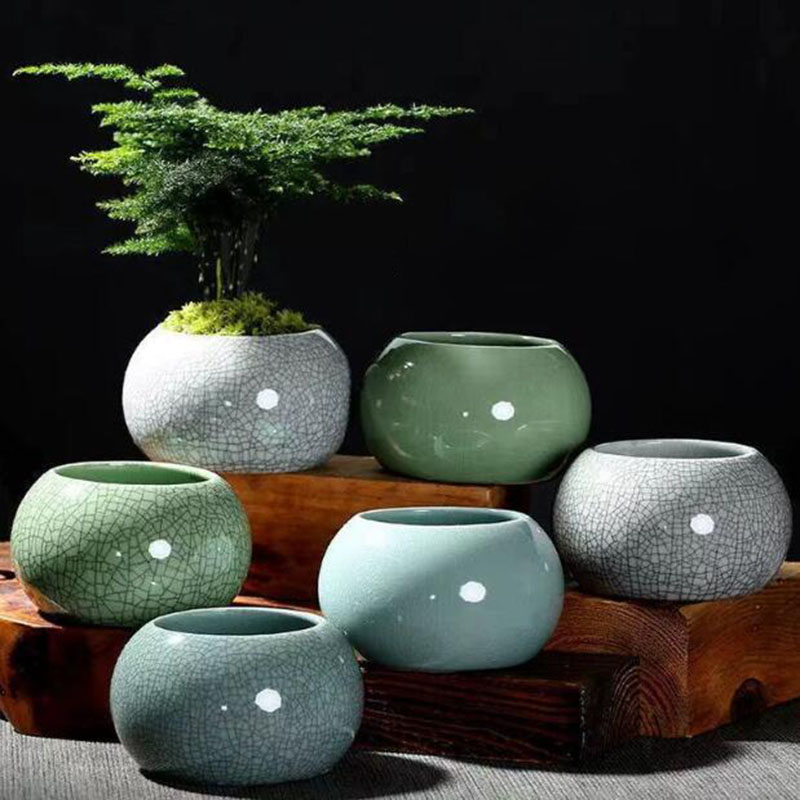 Creative Handmade Geyao Ice Cr - Orchid Potting Mix 评论和价格