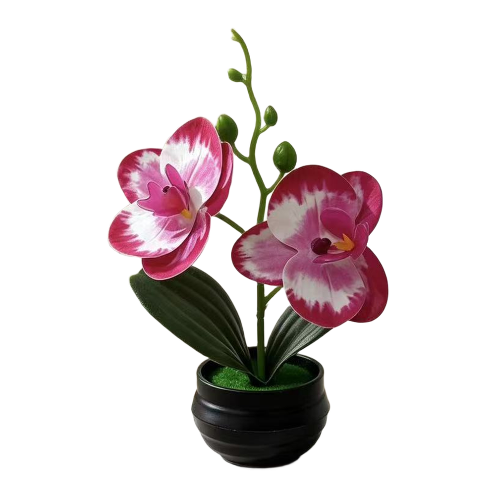 Artificial Orchid Plant with L - Orchid Potting Mix 评论和价格