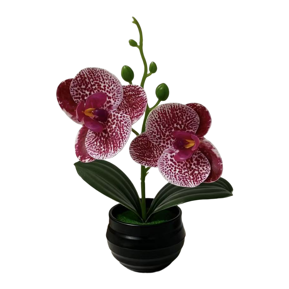 Artificial Orchid Plant with L - Orchid Potting Mix 评论和价格