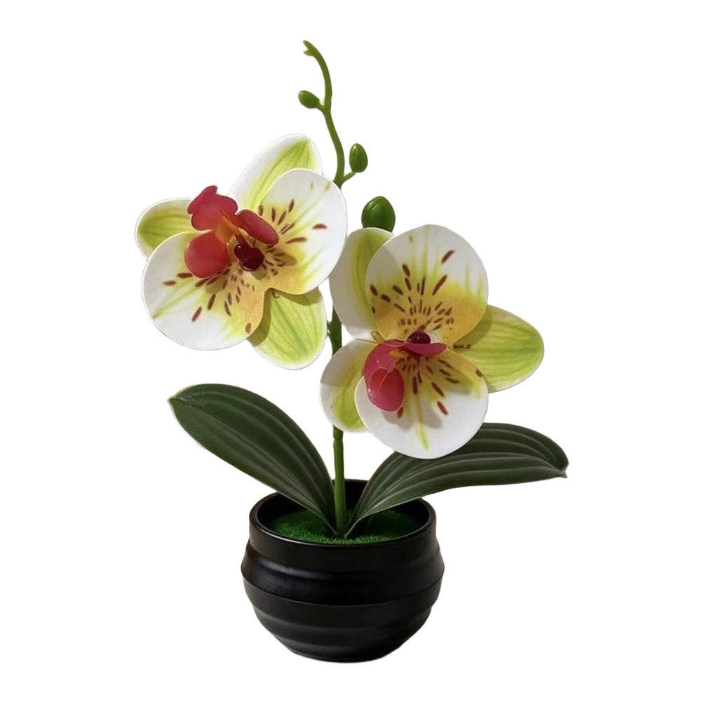 Artificial Orchid Plant with L - Orchid Potting Mix 评论和价格