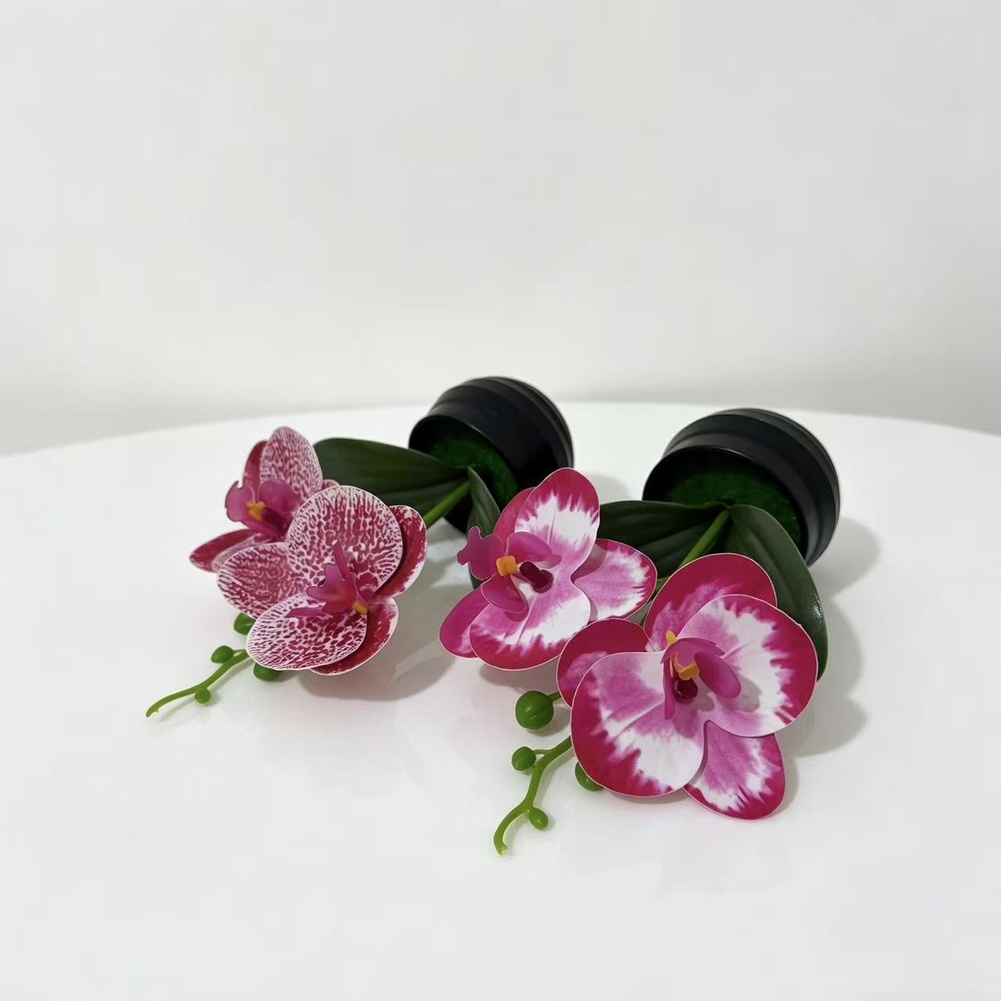 Artificial Orchid Plant with L - Orchid Potting Mix 评论和价格