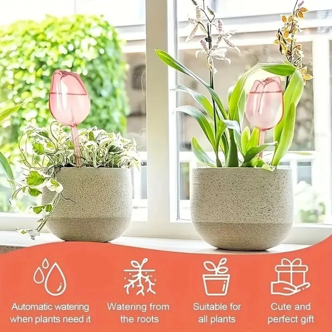 Pink Tulip Plant Watering Ball - Gardening Tools Pink 评论和价格