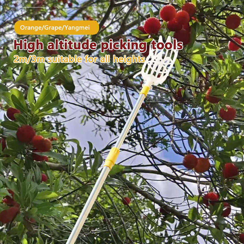 Picking Loquat Picking Bayberr - Gardening Tools Organizer 评论和价格