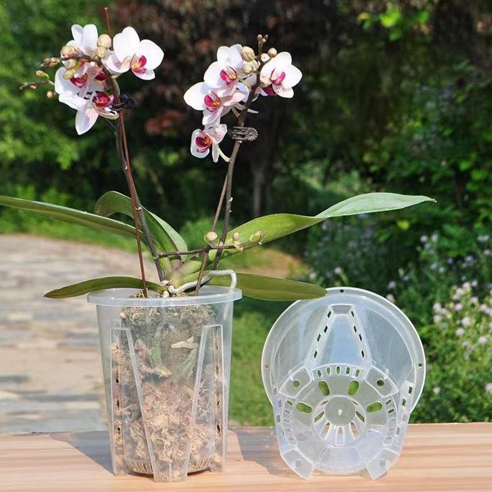 Plastic Root Control Transpare - Orchid Potting Mix 评论和价格