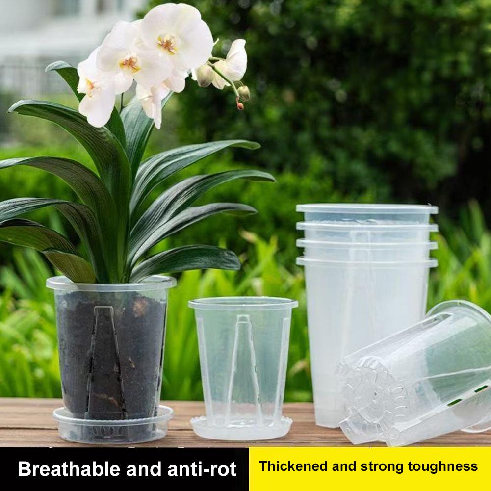 Plastic Root Control Transpare - Orchid Potting Mix 评论和价格