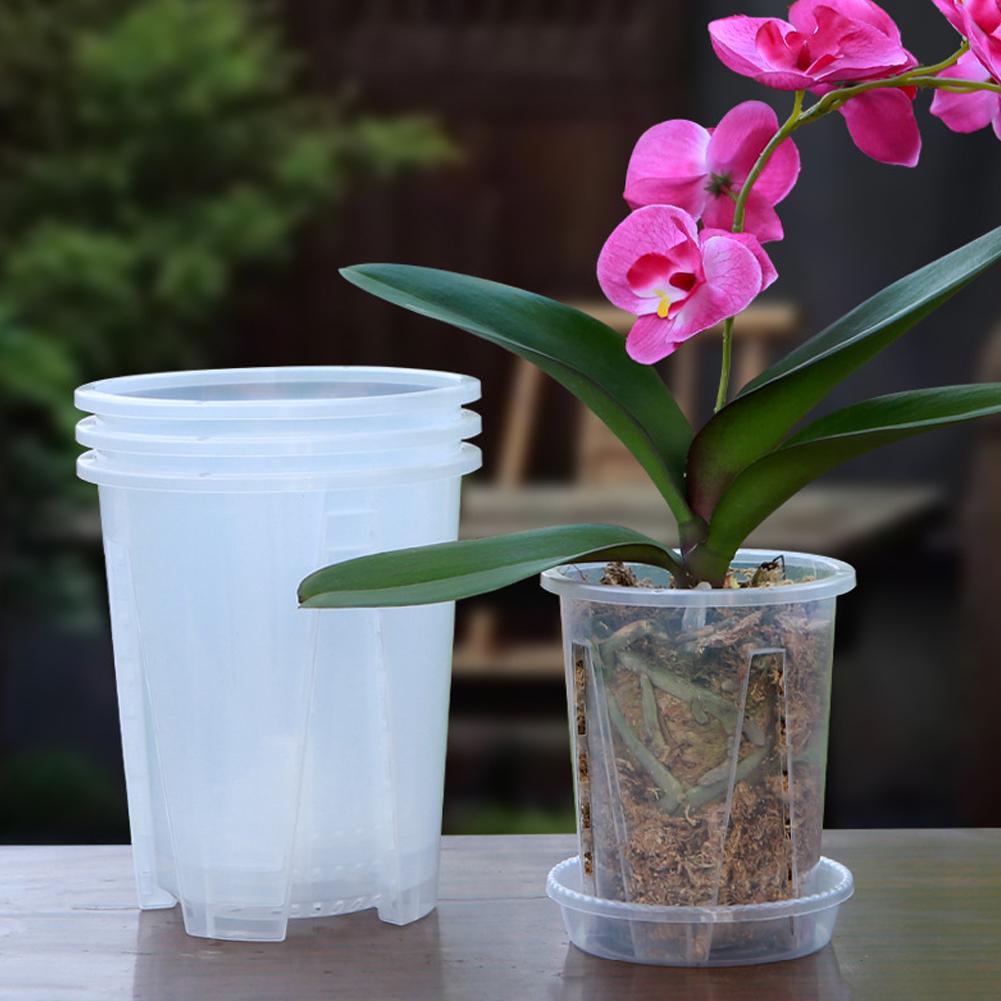 Plastic Root Control Transpare - Orchid Potting Mix 评论和价格