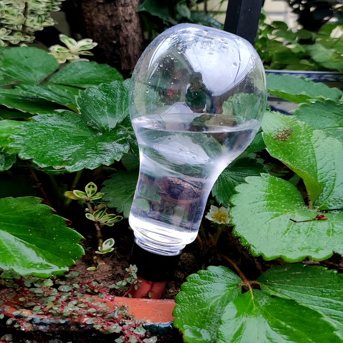 Garden Automatic Watering Tool - Gardening Tool Diy 评论和价格