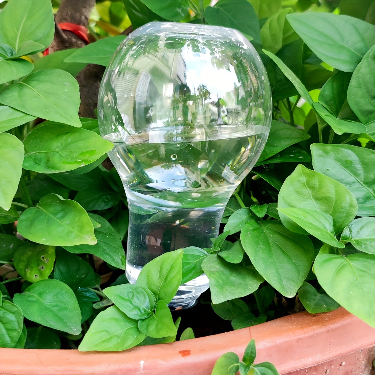 Garden Automatic Watering Tool - Gardening Tool Diy 评论和价格