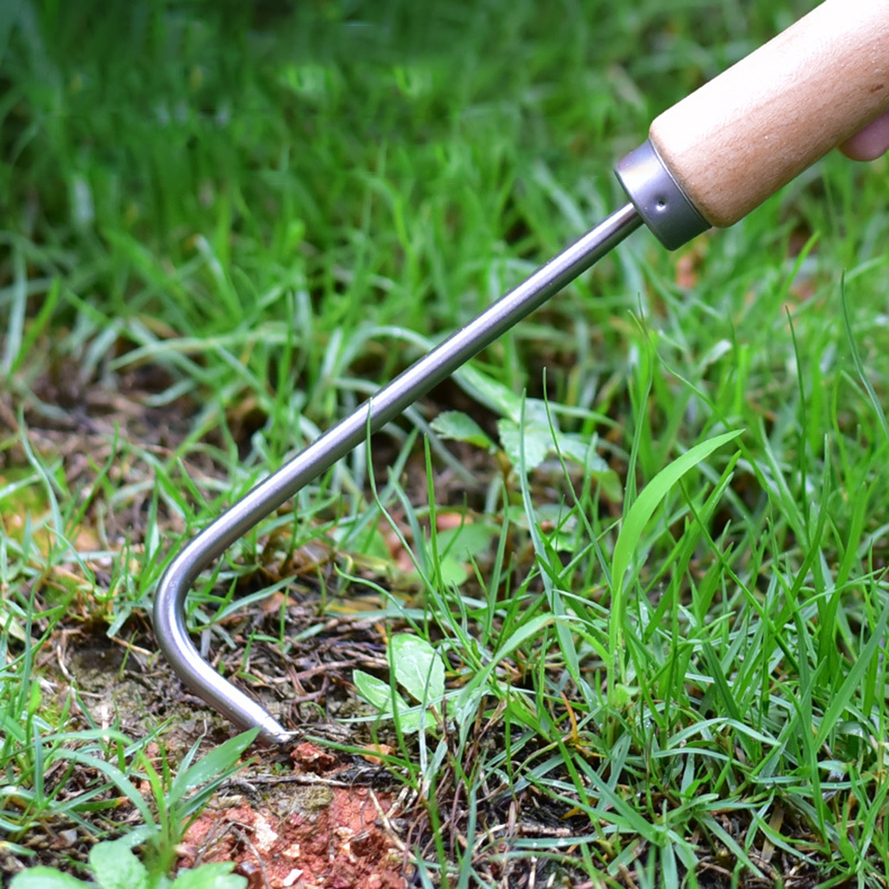 1PC Single Claw Hook Soil Loos - Gardening Tools Store 评论和价格
