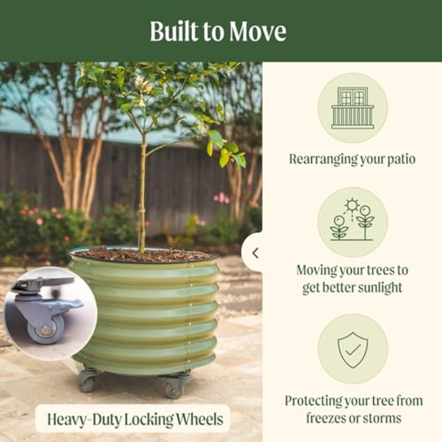 Rolling Metal Citrus Tree Plan - Self-Watering Planter 评论和价格