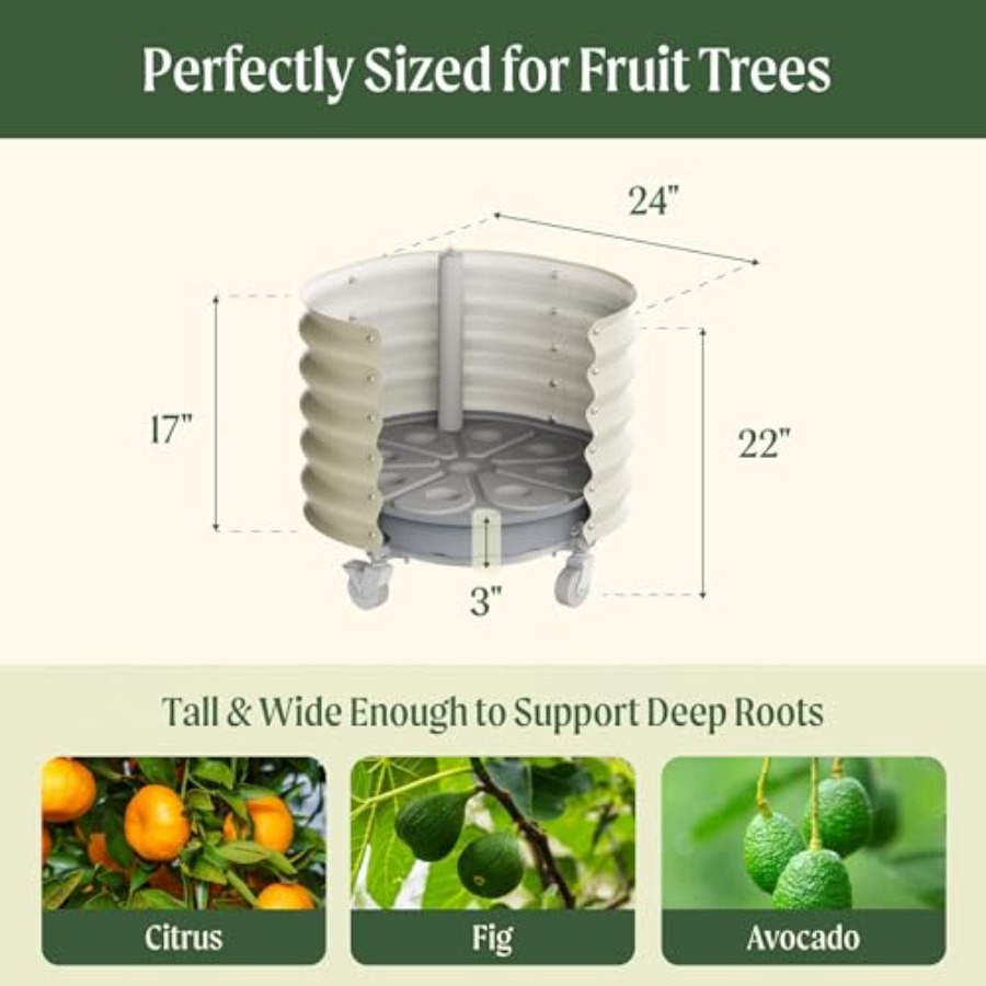 Rolling Metal Citrus Tree Plan - Self-Watering Planter 评论和价格