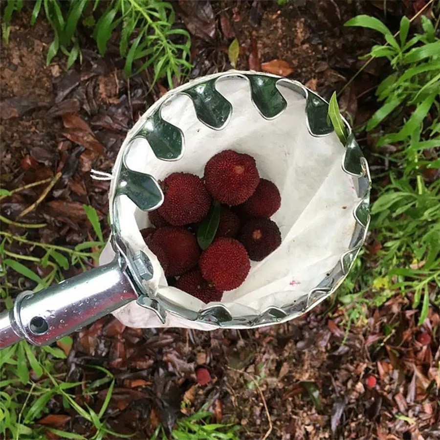 3-in-1 Fruit Harvesting Tool S - Gardening Tools Gifts 评论和价格