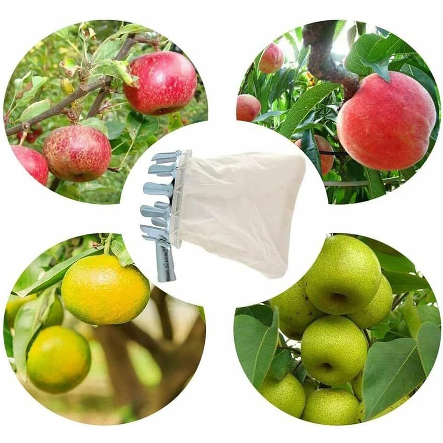 3-in-1 Fruit Harvesting Tool S - Gardening Tools Gifts 评论和价格