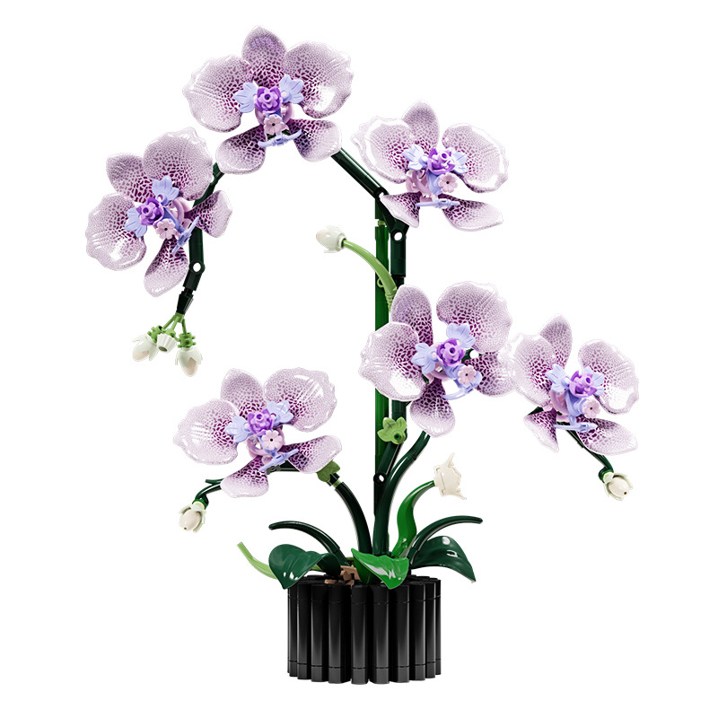 619PCS Phalaenopsis Building B - Orchid Potting Mix 评论和价格