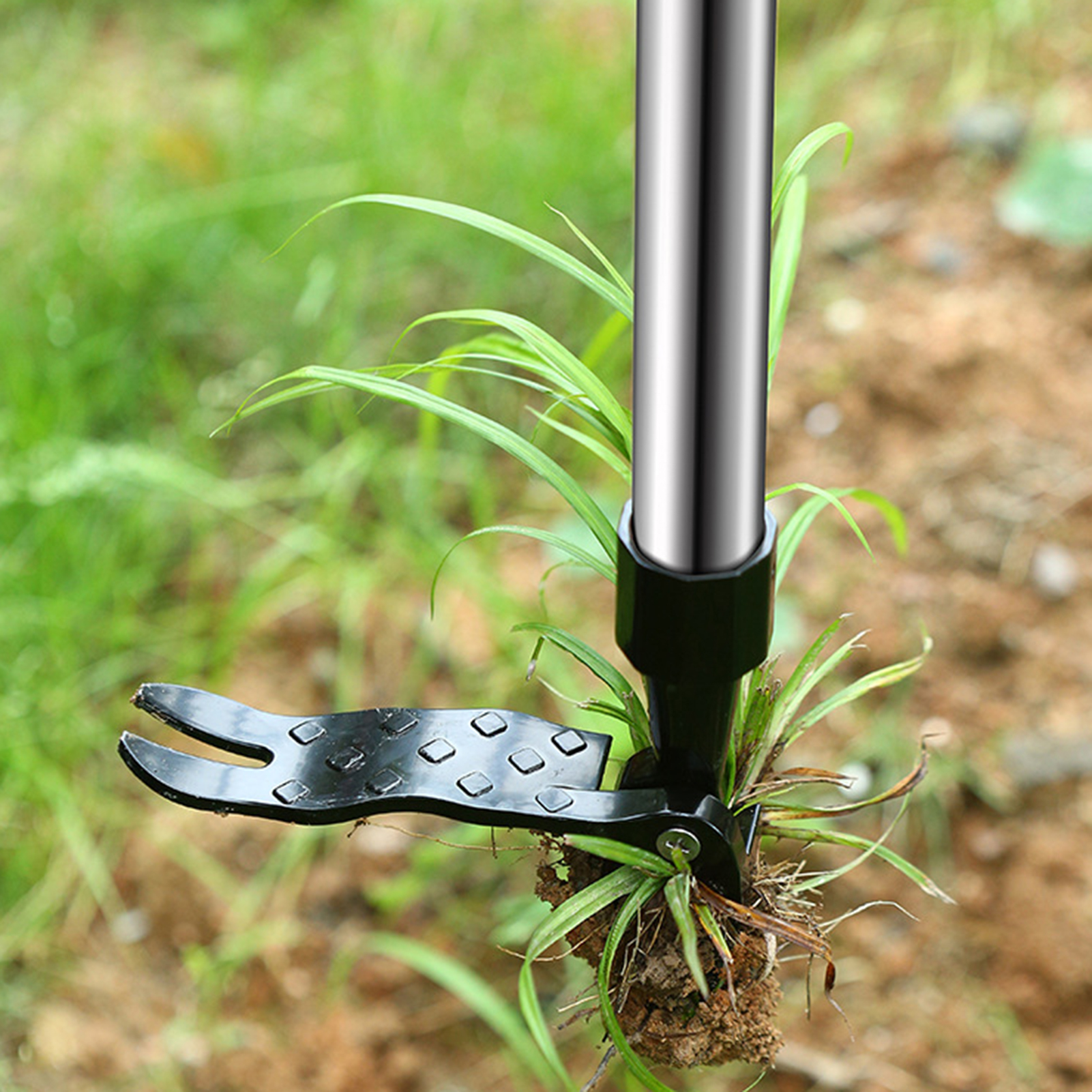 Bending-Free Stand Up Weeds Pu - Root Watering Spike 评论和价格
