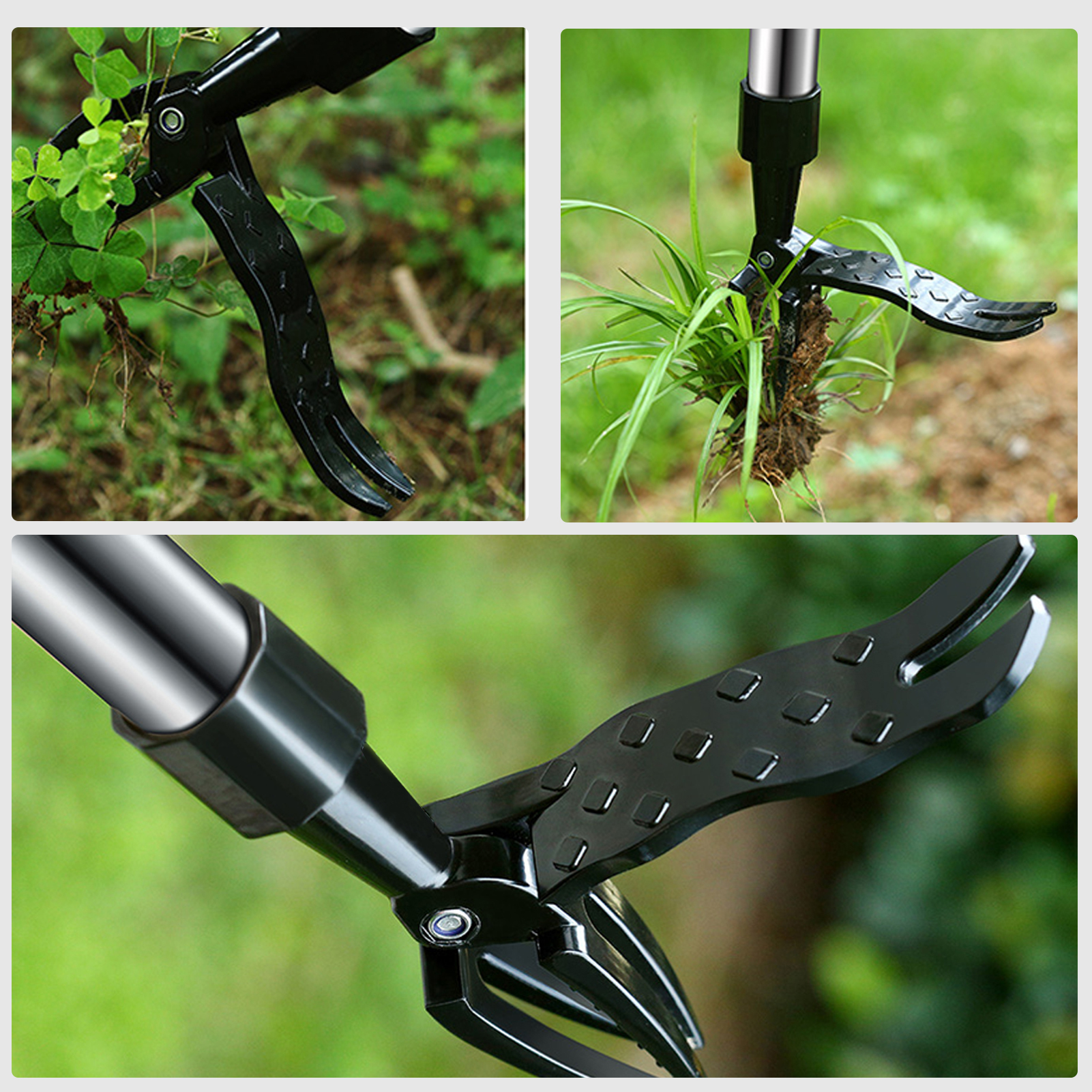 Bending-Free Stand Up Weeds Pu - Root Watering Spike 评论和价格