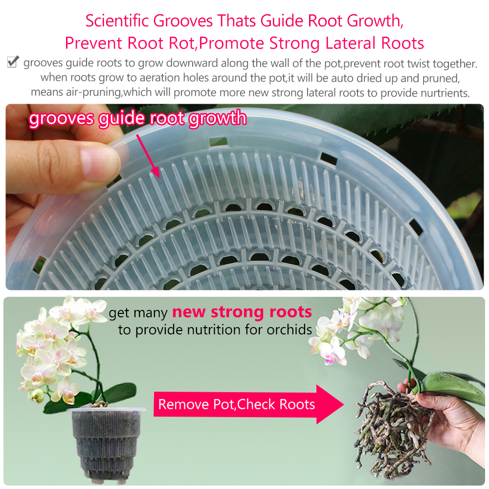 Meshpot Clear Plastic Orchid P - Orchid Potting Mix 评论和价格