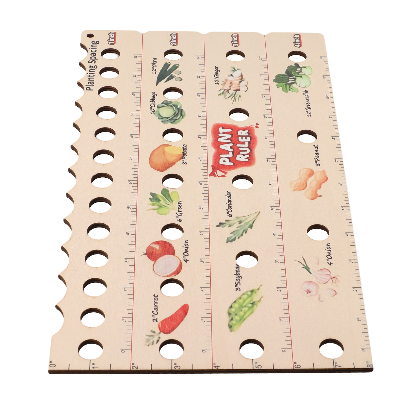 High Quality Plant Ruler Plant - Gardening Tools Wooden 评论和价格