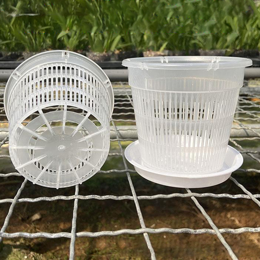 5pcs Orchid Pot With Saucers M - Orchid Potting Mix 评论和价格