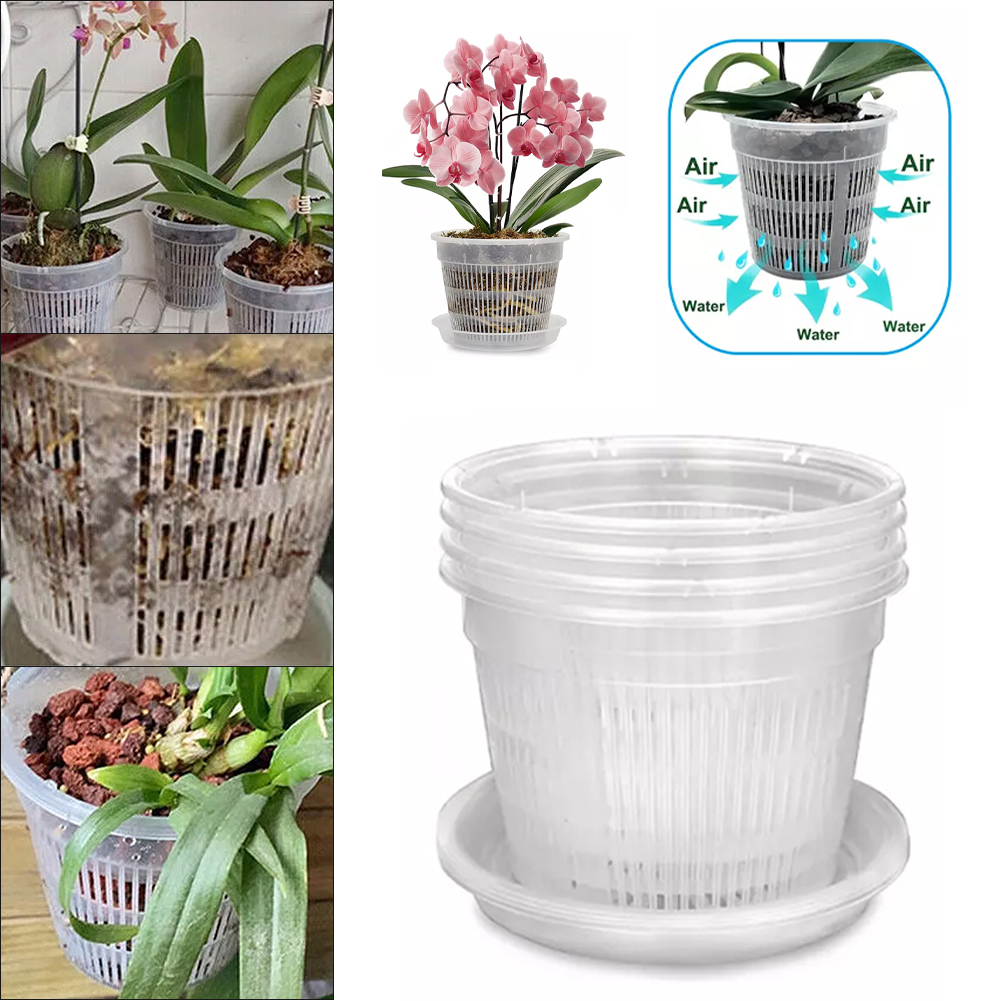5pcs Orchid Pot With Saucers M - Orchid Potting Mix 评论和价格