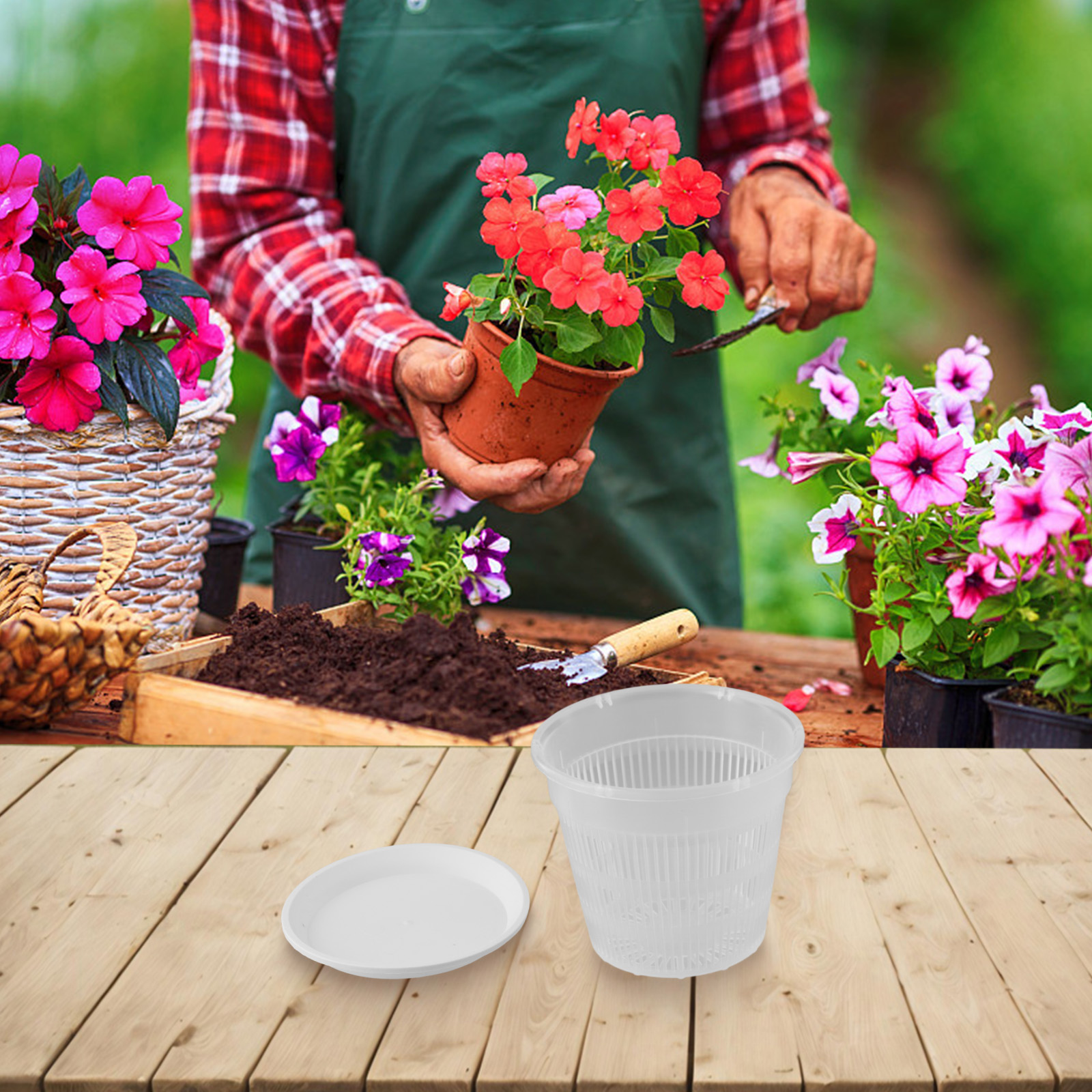 5pcs Orchid Pot With Saucers M - Orchid Potting Mix 评论和价格