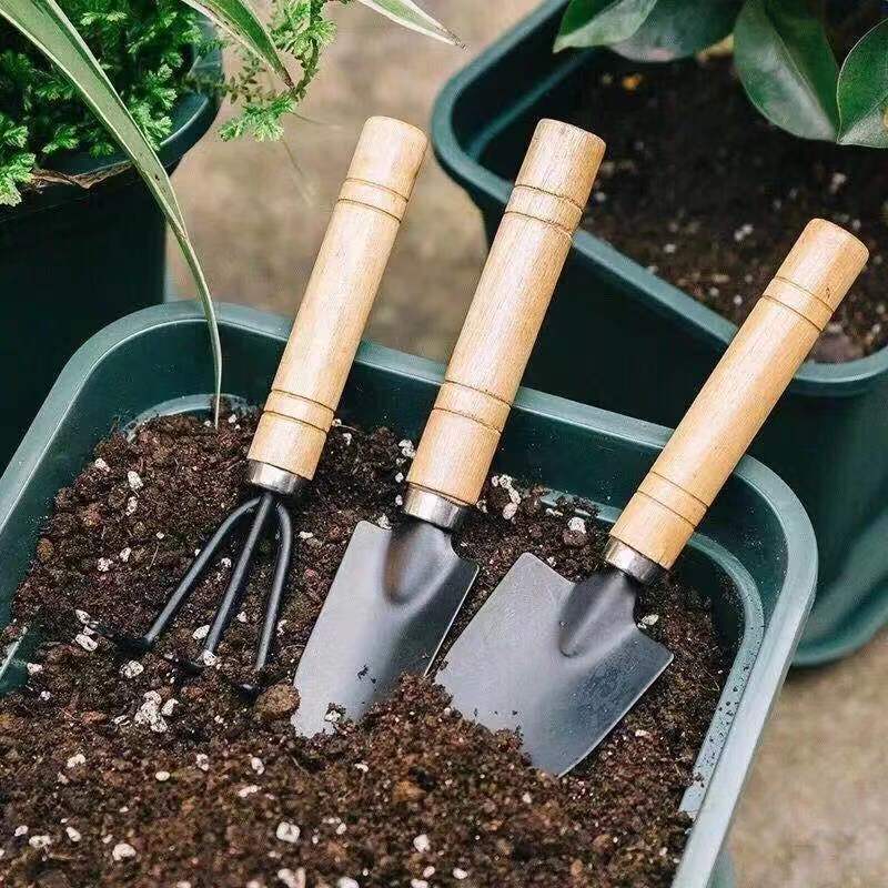 3Pcs Mini Gardening Tool Set w - Gardening Tools Wooden 评论和价格