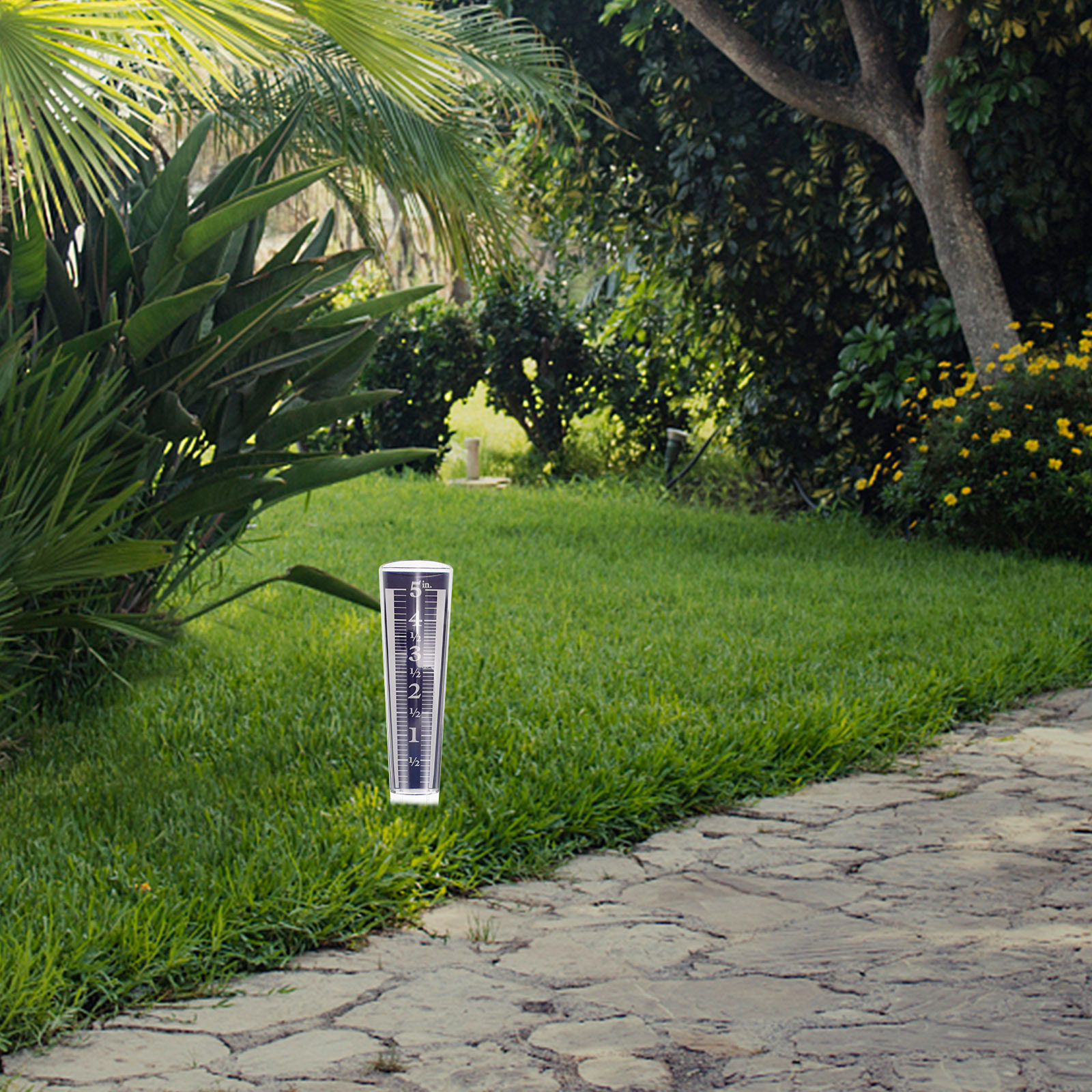 Transparent Rain Gauge for Out - Gardening Tools Toolstation 评论和价格