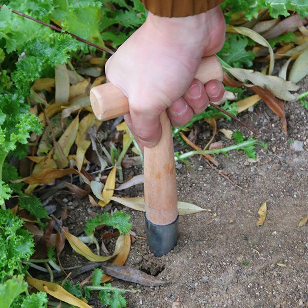 Hand Dibber Garden Tool Stainl - Gardening Tools Wooden 评论和价格