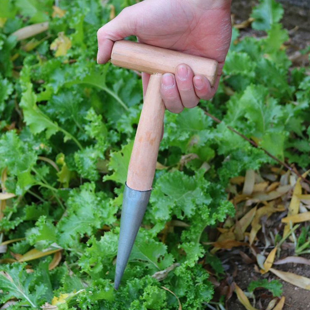 Hand Dibber Garden Tool Stainl - Gardening Tools Wooden 评论和价格