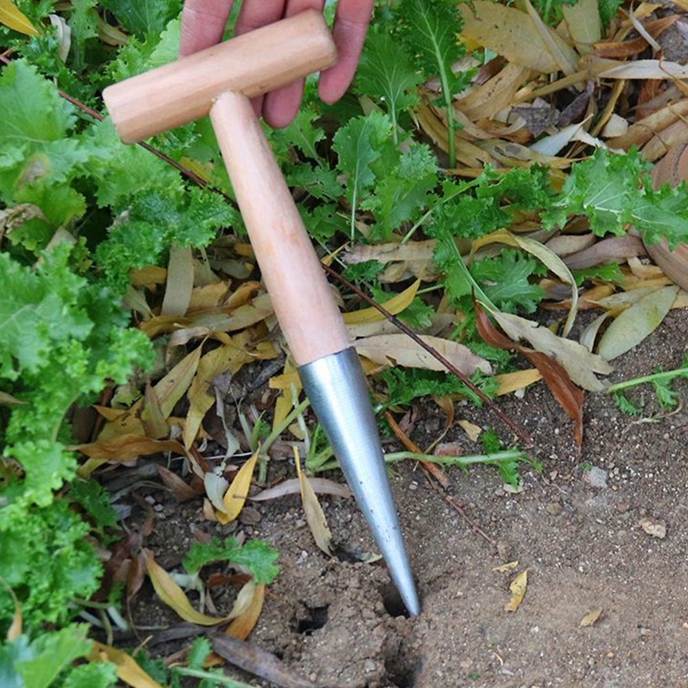 Hand Dibber Garden Tool Stainl - Gardening Tools Wooden 评论和价格
