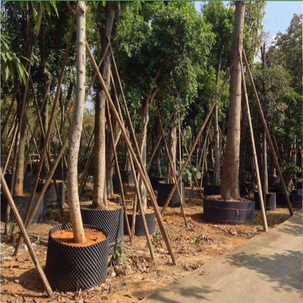 Grow Container Garden Tree Bon - Gardening Tool 评论和价格