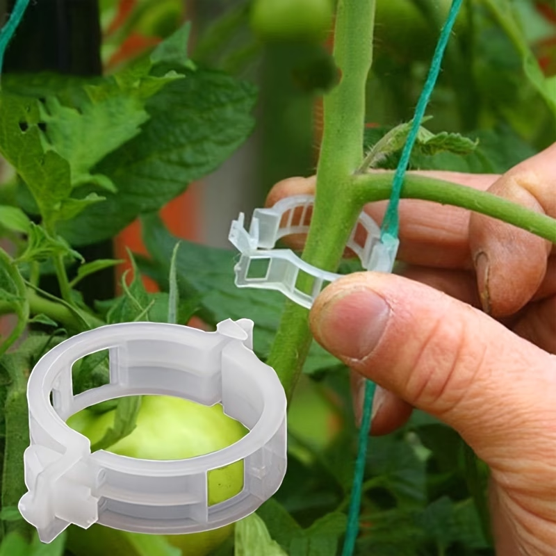 Wholesale Plant Support Clips  - Gardening Tools Store 评论和价格