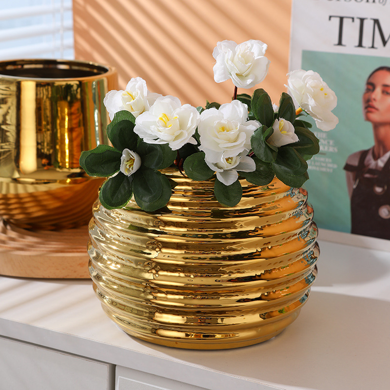 Office gold ceramic flower pot - Orchid Potting Mix 评论和价格