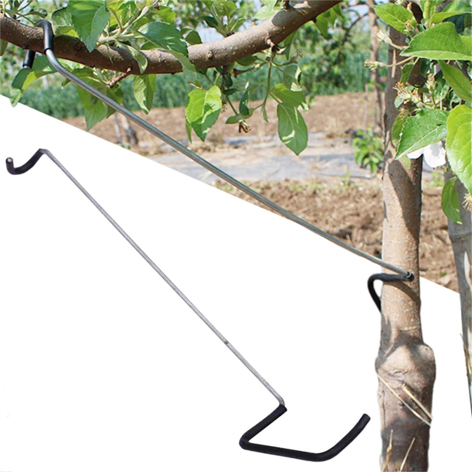 Fruit Tree Branch Spreader 10P - Gardening Tools Gifts 评论和价格