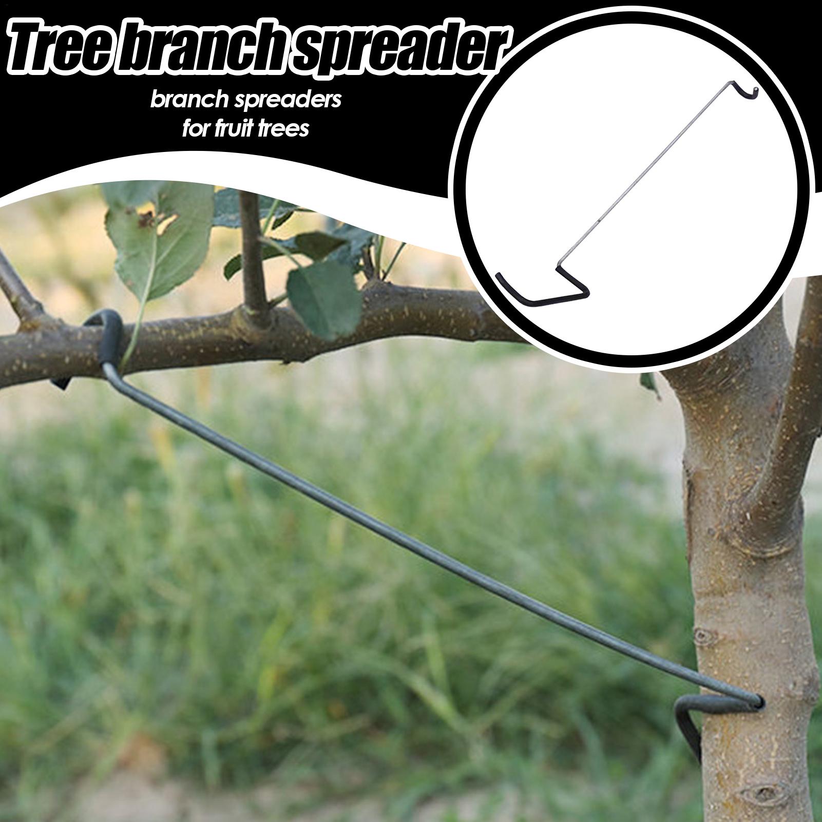 Fruit Tree Branch Spreader 10P - Gardening Tools Gifts 评论和价格