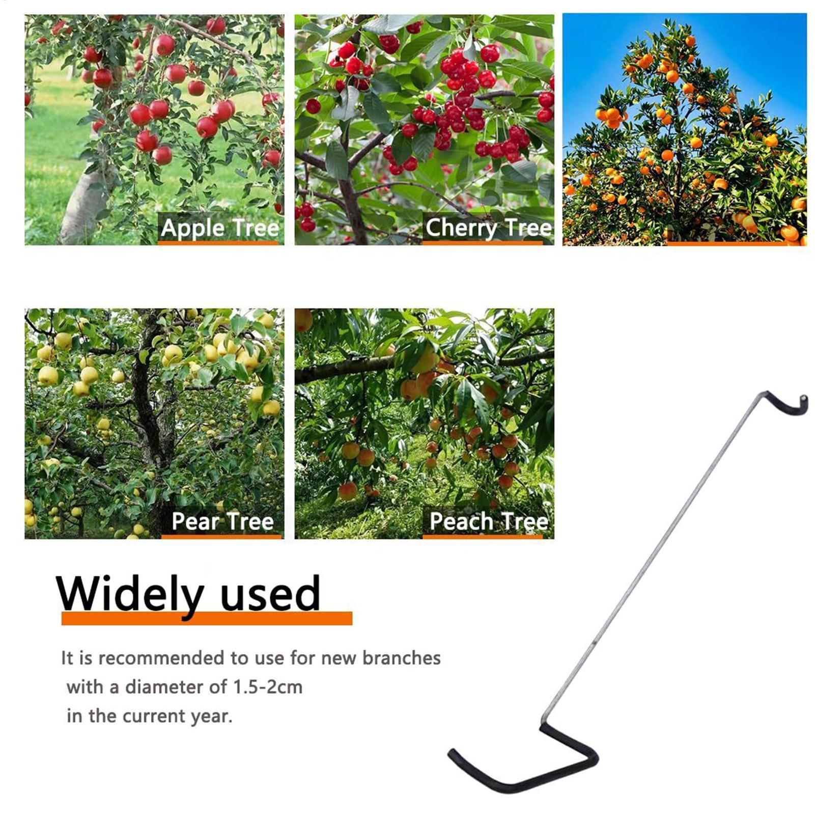 Fruit Tree Branch Spreader 10P - Gardening Tools Gifts 评论和价格