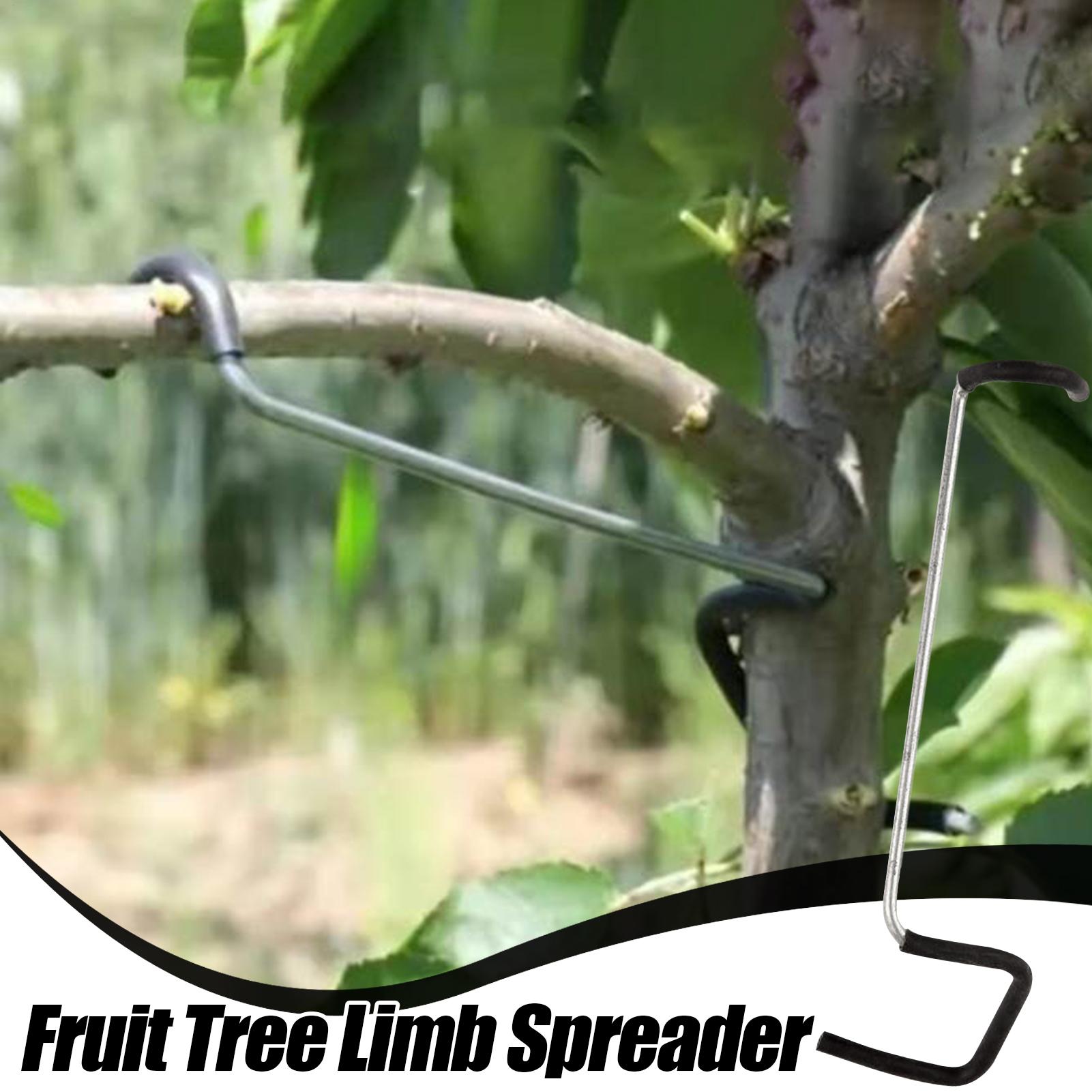 Fruit Tree Branch Spreader 10P - Gardening Tools Gifts 评论和价格