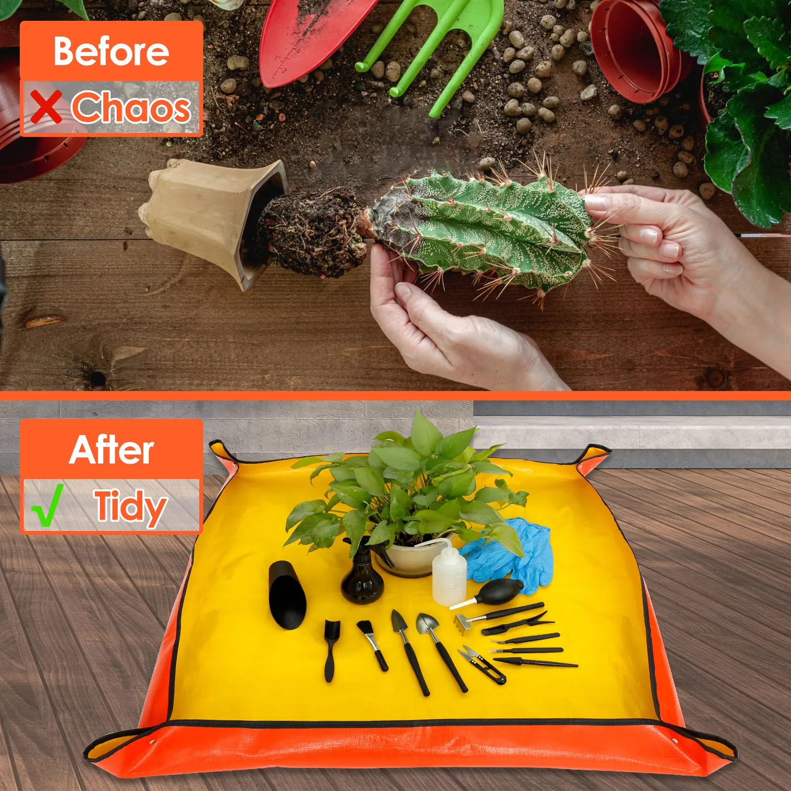 13/16Pcs Garden Succulent Plan - Gardening Tools Store 评论和价格