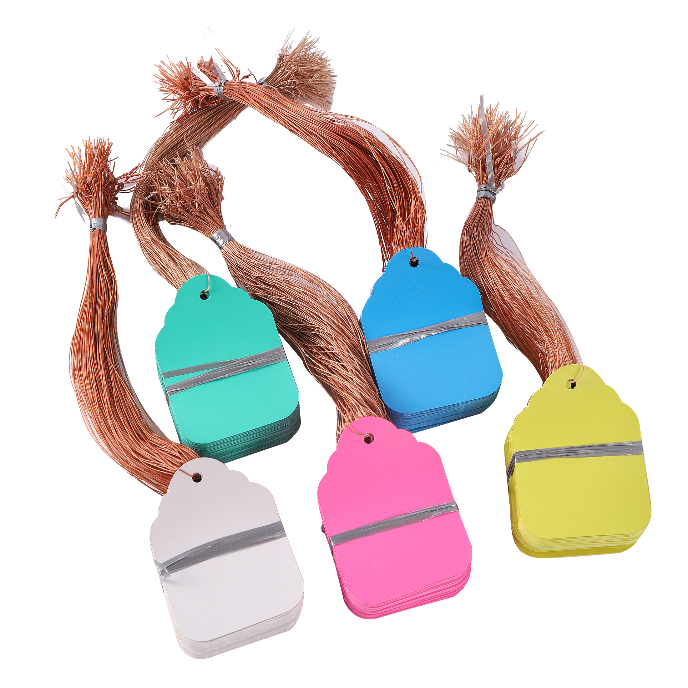 100Pcs/Lot Plants Hanging Plan - Gardening Tool Diy 评论和价格