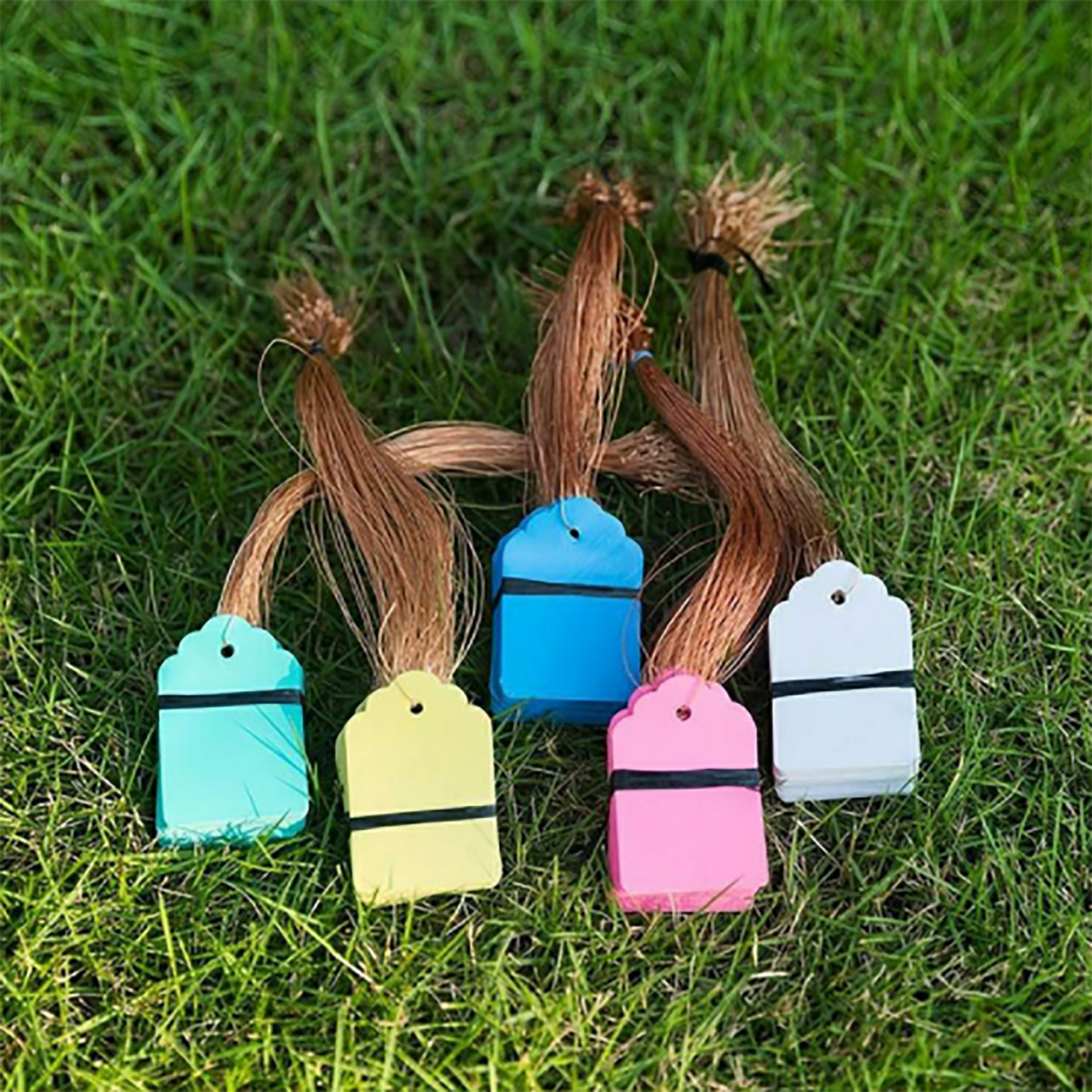 100Pcs/Lot Plants Hanging Plan - Gardening Tool Diy 评论和价格