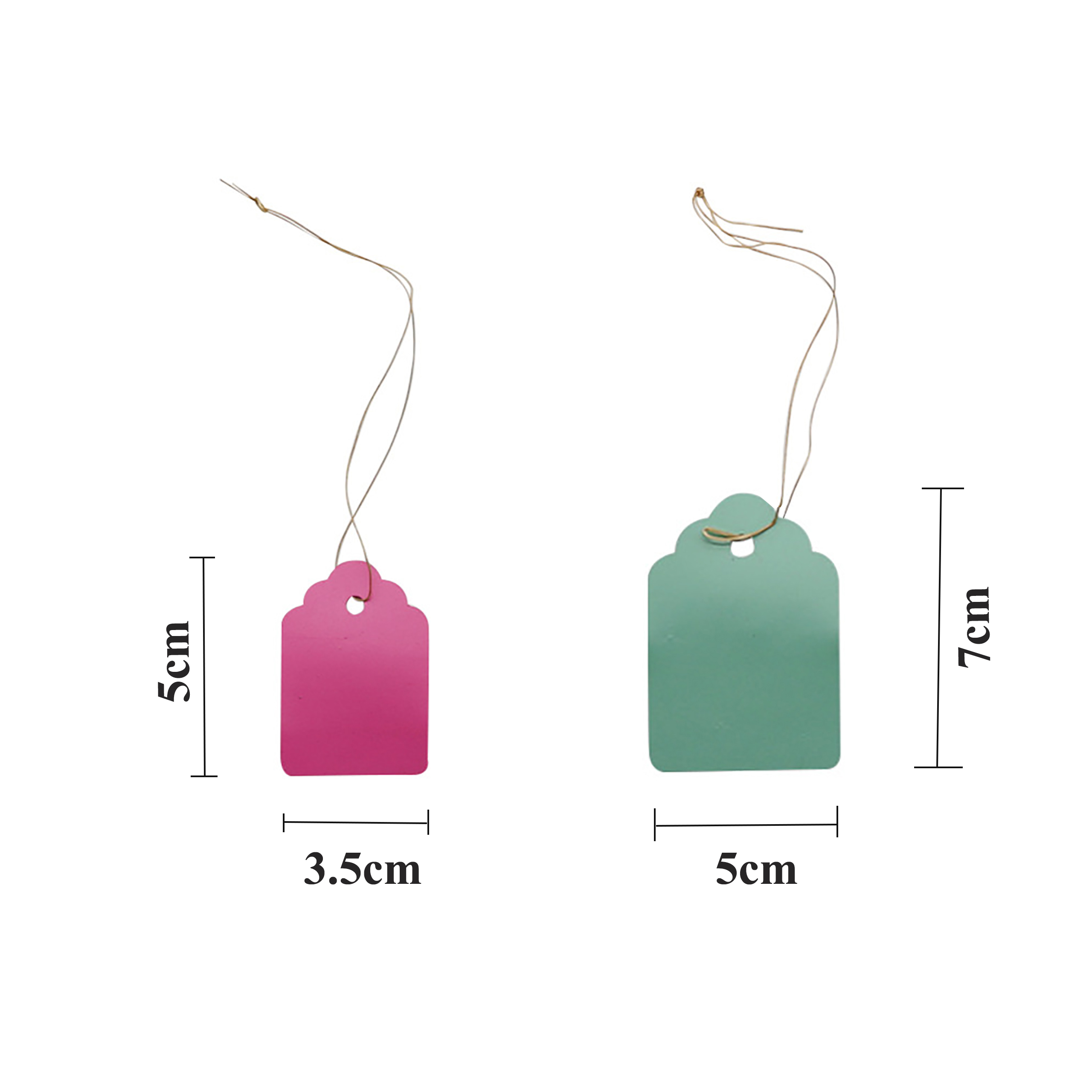 100Pcs/Lot Plants Hanging Plan - Gardening Tool Diy 评论和价格