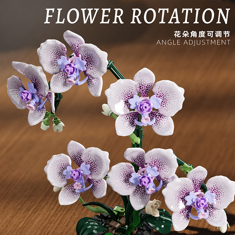 619PCS Phalaenopsis Building B - Orchid Potting Mix 评论和价格