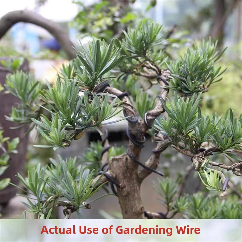 1.5MM Bonsai Wires Aluminum Bo - Gardening Tool Diy 评论和价格